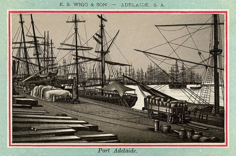 Album Of Adelaide Its Suburbs And Botanic Gardens c1885