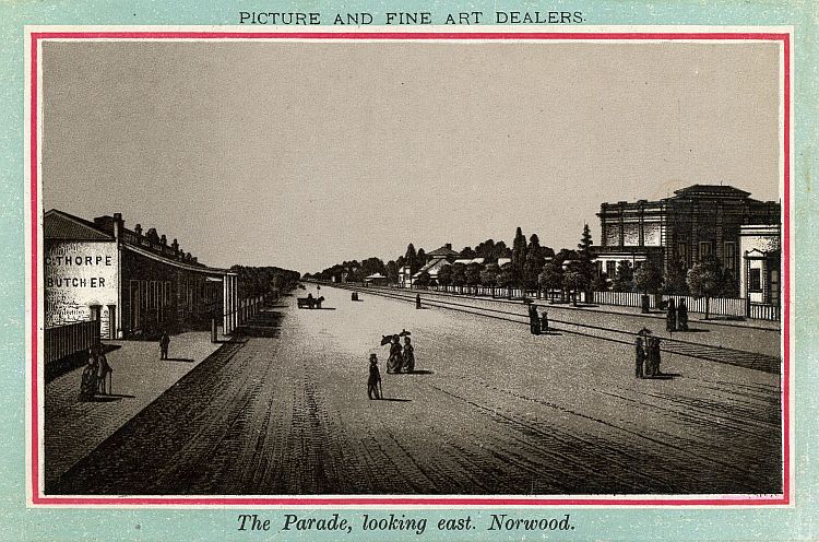Album Of Adelaide Its Suburbs And Botanic Gardens c1885