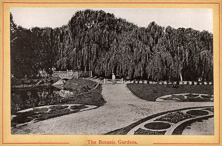Photographic Views Of Adelaide, South Australia, c1890