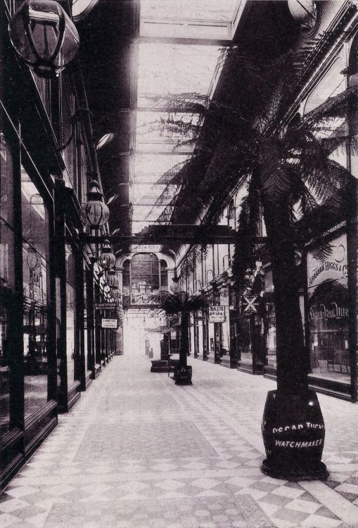 Wiggs Views of Adelaide c1899