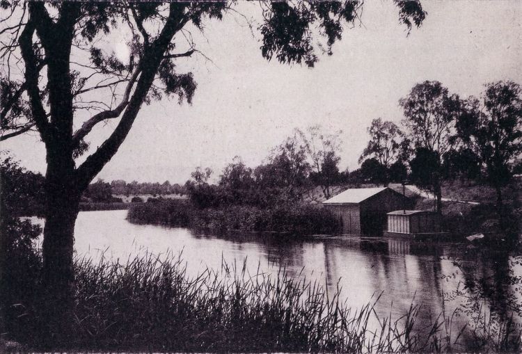 Wiggs Views of Adelaide c1899