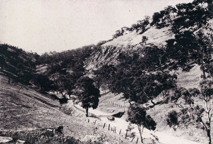 Wiggs Views of Adelaide c1899