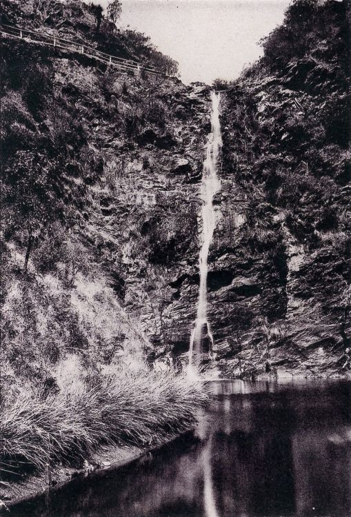 Wiggs Views of Adelaide c1899