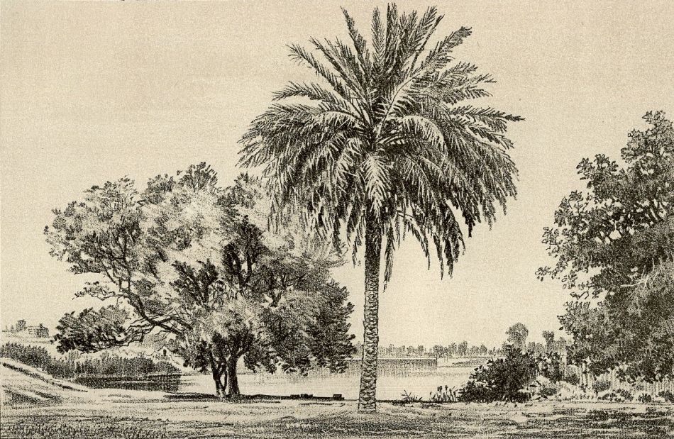 The Aldine History Of South Australia, Illustrated, 1890.