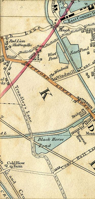 Click To Enlarge Left Half