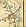 Old Ford, Old Ford Bridge, East London Water Works, Intended Eastern Counties Railway, Hackney Canal, Fair Field, Bow, Bow Church, Bow Workhouse, Bromley Church, The 3 Mills, Three Mills Wall, Stratford, River Lea, Bromley Bridge & Bromley
