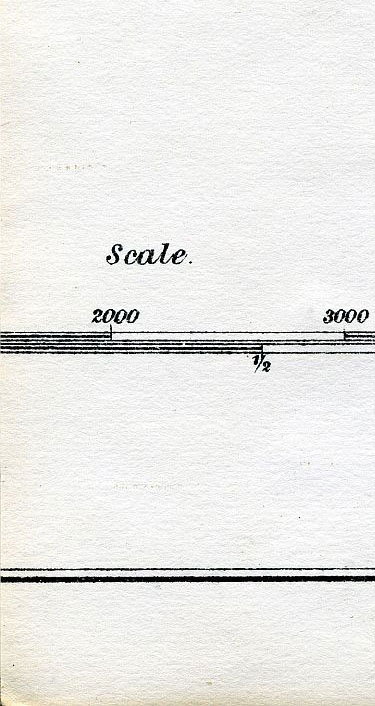 Click To Enlarge Bottom Left Quarter