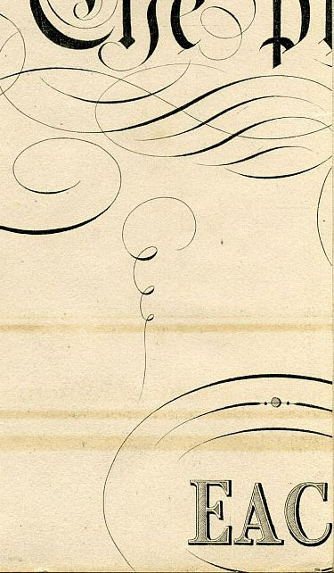 Click To Enlarge Bottom Right Quarter
