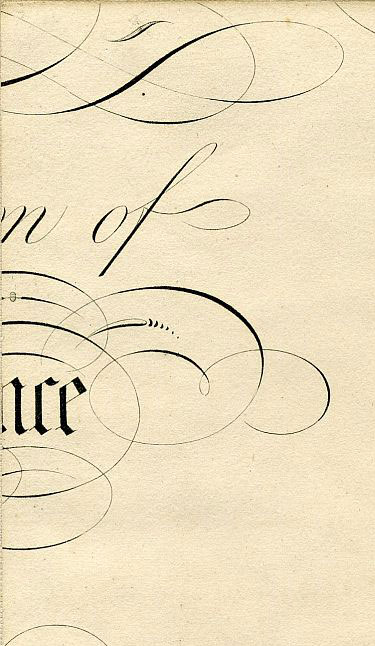 Click To Enlarge Top Left Quarter