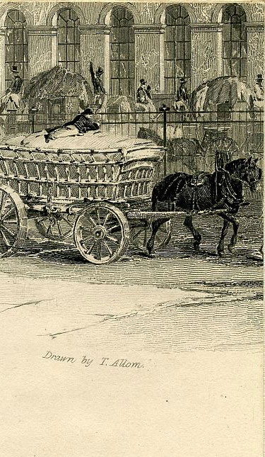 Click To Enlarge Top Right Quarter