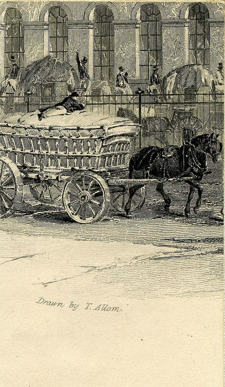 Return To Previous View