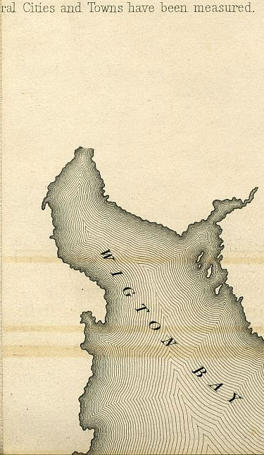 Click To Enlarge Bottom Left Quarter