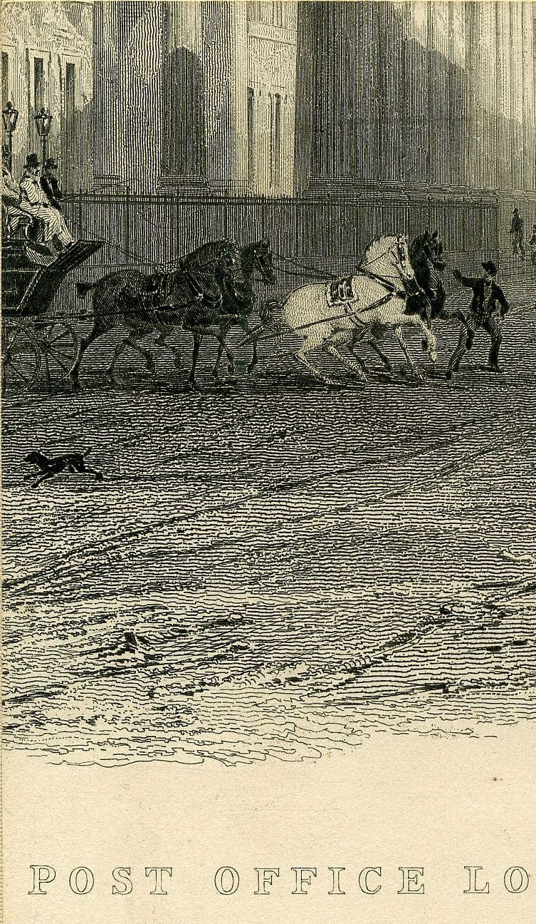 Return To Previous View