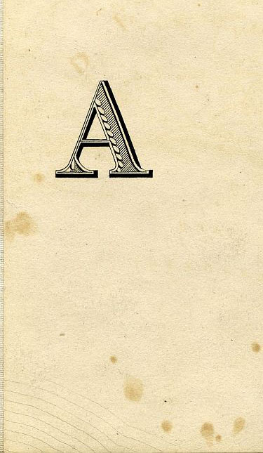 Click To Enlarge Bottom Left Quarter