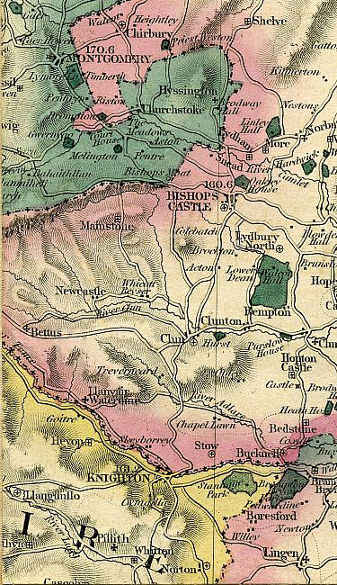 Click To Enlarge Bottom Left Quarter