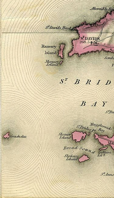 Click To Enlarge Bottom Left Quarter