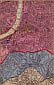 Westminster, The River Thames, Lambeth, Newington, Kennington, South Lambeth, Clapham, Stockwell, North Brixton, & Angel Town Estate