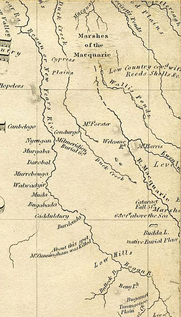 Click To Enlarge Top Right Quarter
