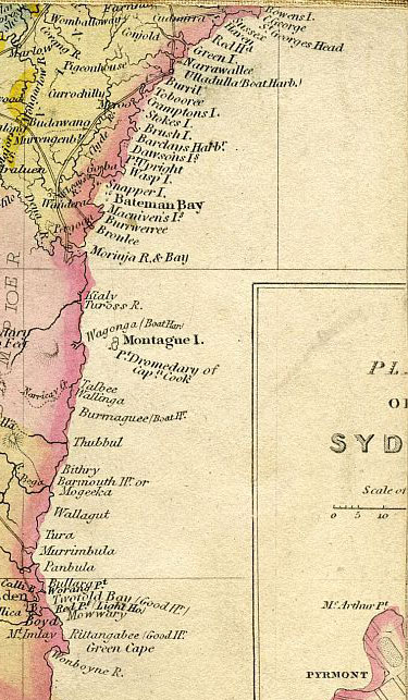 Click To Enlarge Top Right Quarter