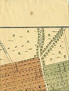 Robe & MacDonnell Wards, & North Park Lands