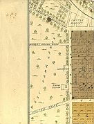 Gawler Ward & West Park Lands