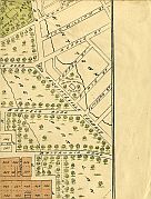 Young Ward & East Park Lands