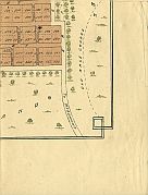 Young Ward & Old Race Course