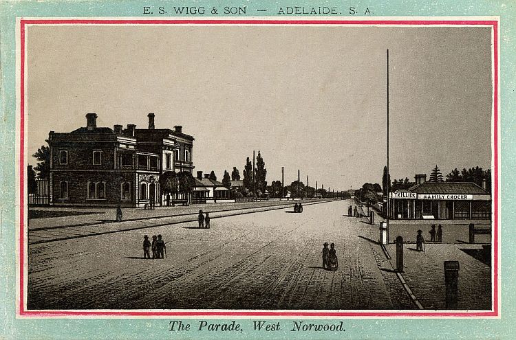 Album Of Adelaide Its Suburbs And Botanic Gardens c1885