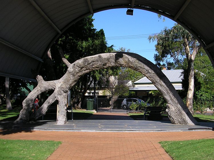 The Proclamation Tree In 2007