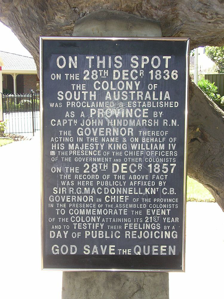 The Proclamation Tree In 2007