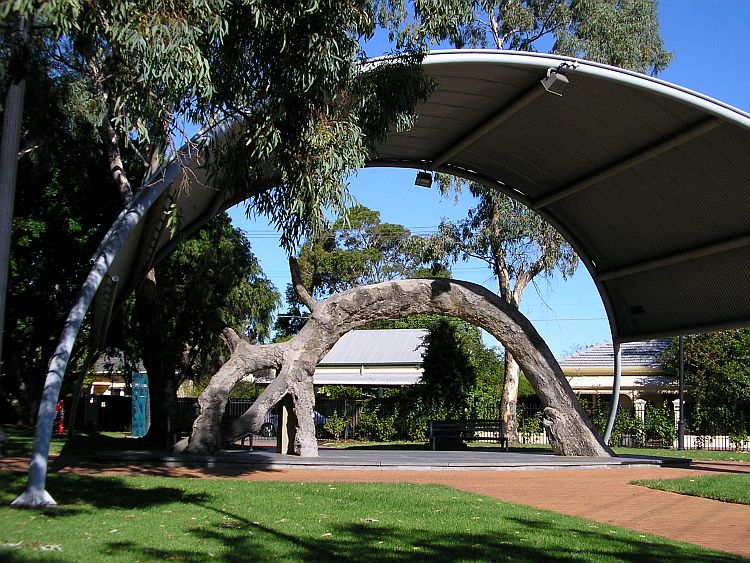 The Proclamation Tree In 2007