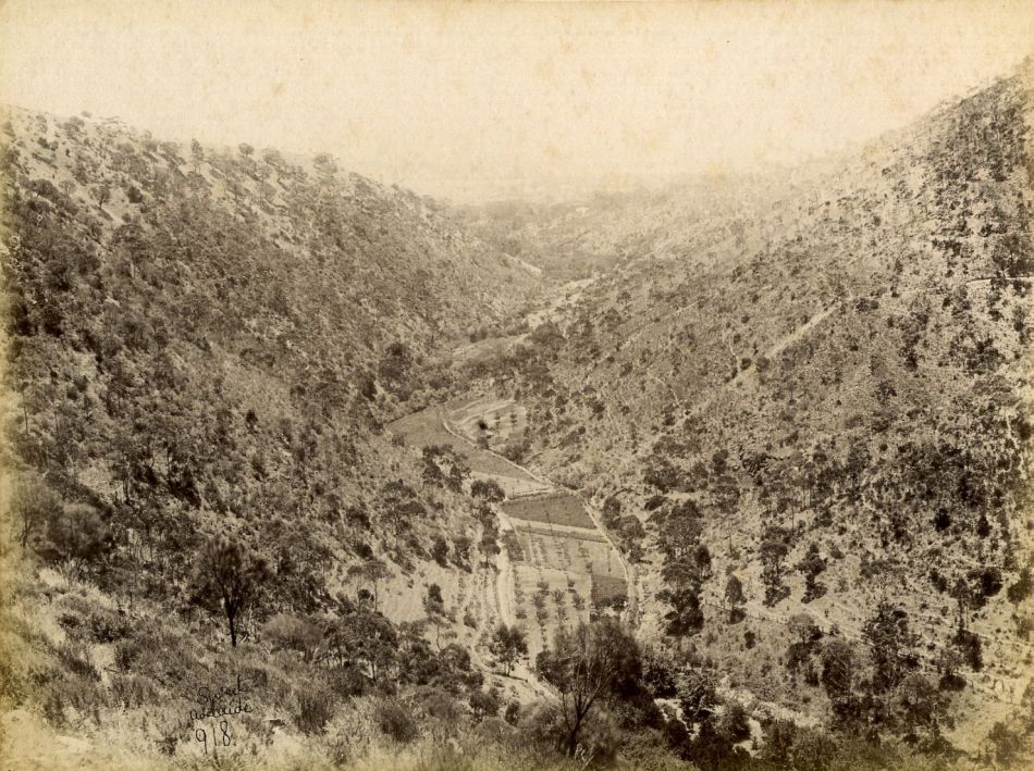 Captain Sweet's Views of Adelaide and South Australia 1866-1885