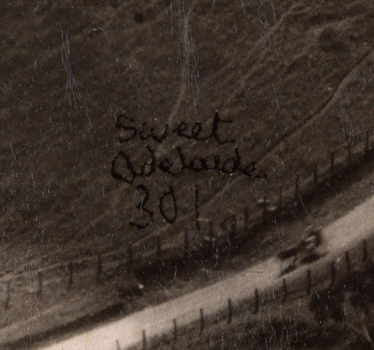 Captain Sweet's Views of Adelaide and South Australia 1866-1885