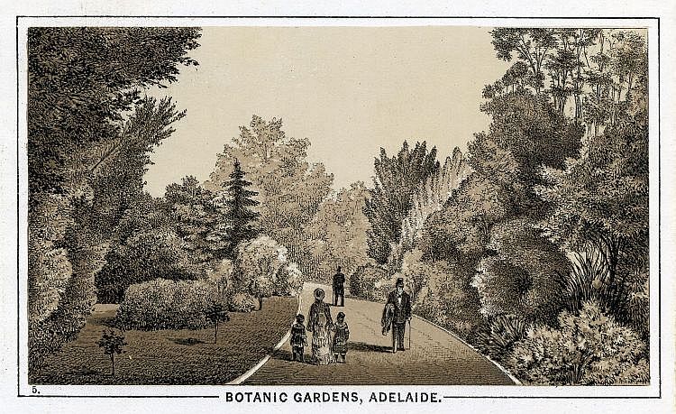 Frearson's Views of South Australia c1890