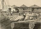 T.K. Stubbins, Globe Timber Yard, Port Adelaide T.K. Stubbins, Globe Timber Yard, Port Adelaide