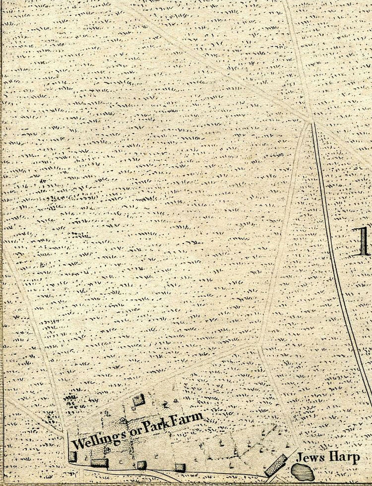 Return To Previous View