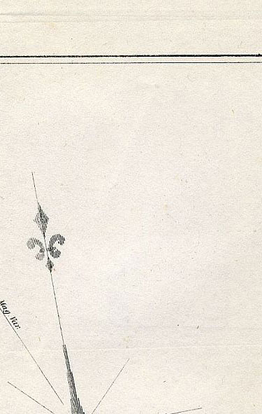 Click To Enlarge Top Right Quarter