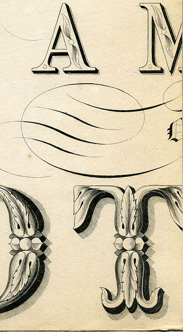 Click To Enlarge Bottom Right Quarter
