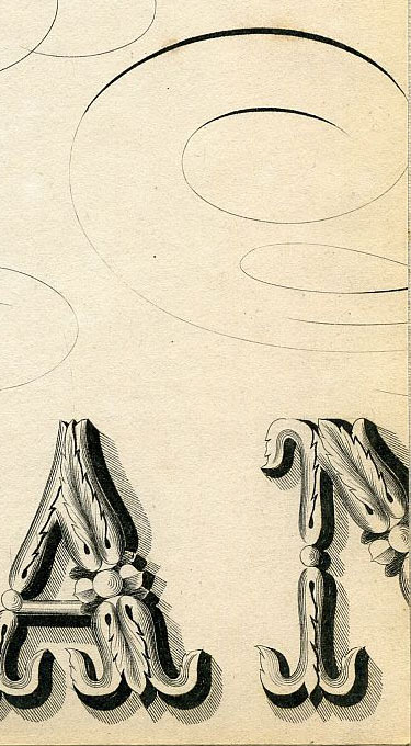 Click To Enlarge Bottom Right Quarter