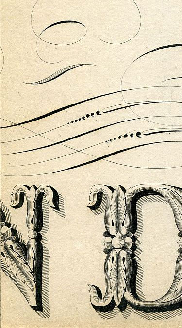 Click To Enlarge Bottom Left Quarter