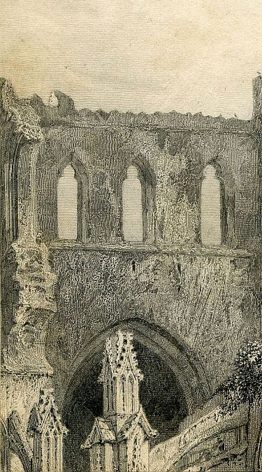 Click To Enlarge Bottom Left Quarter
