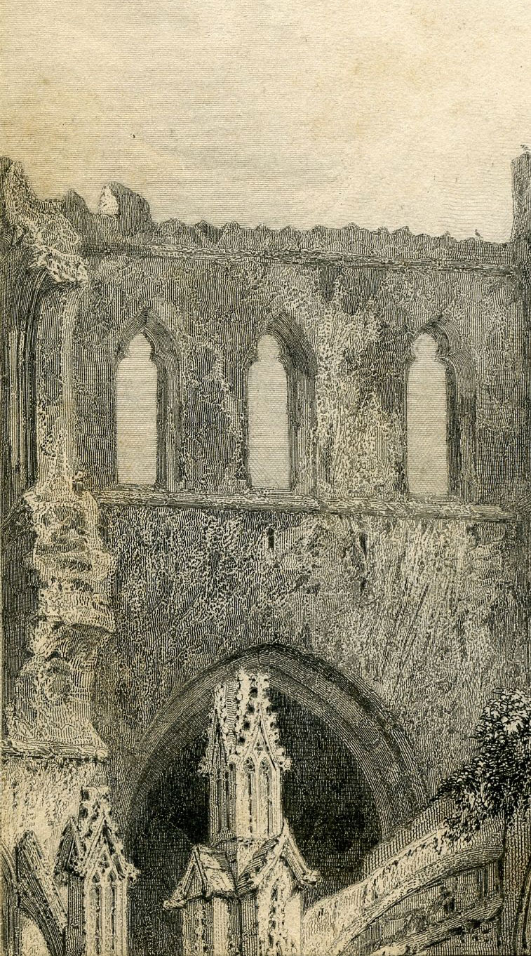 Return To Previous View