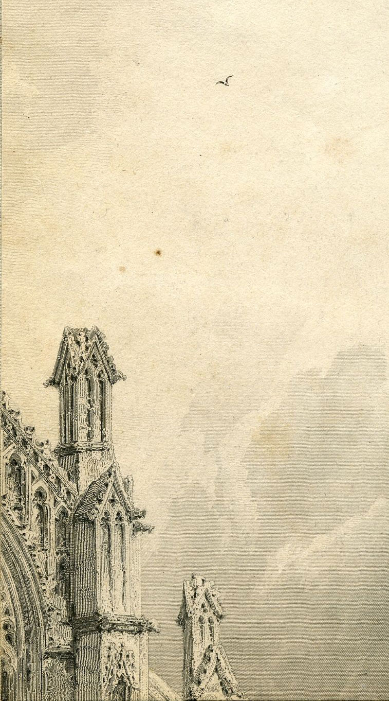 Return To Previous View