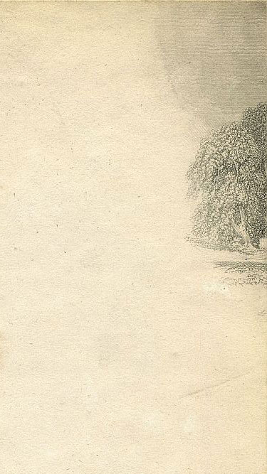 Click To Enlarge Top Right Quarter