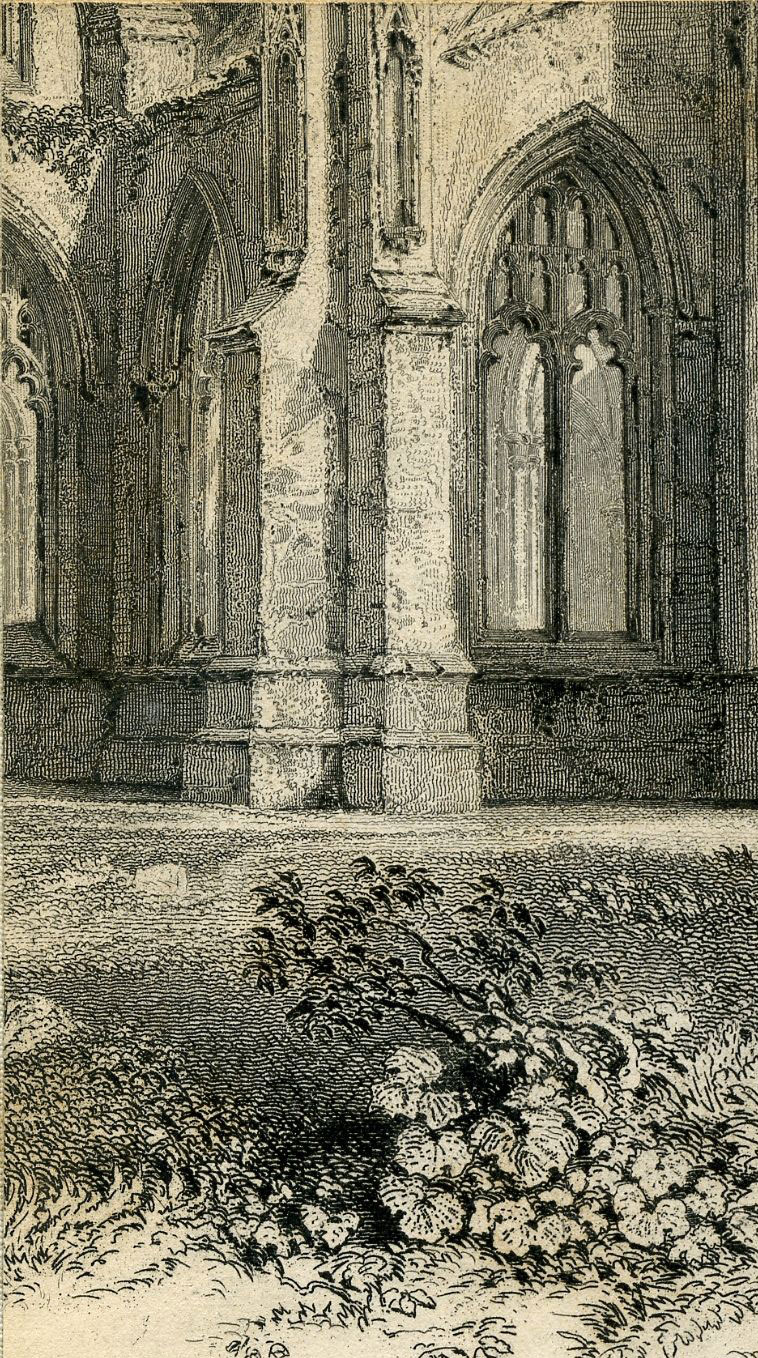 Return To Previous View