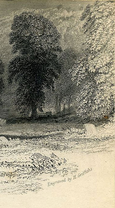 Click To Enlarge Top Right Quarter