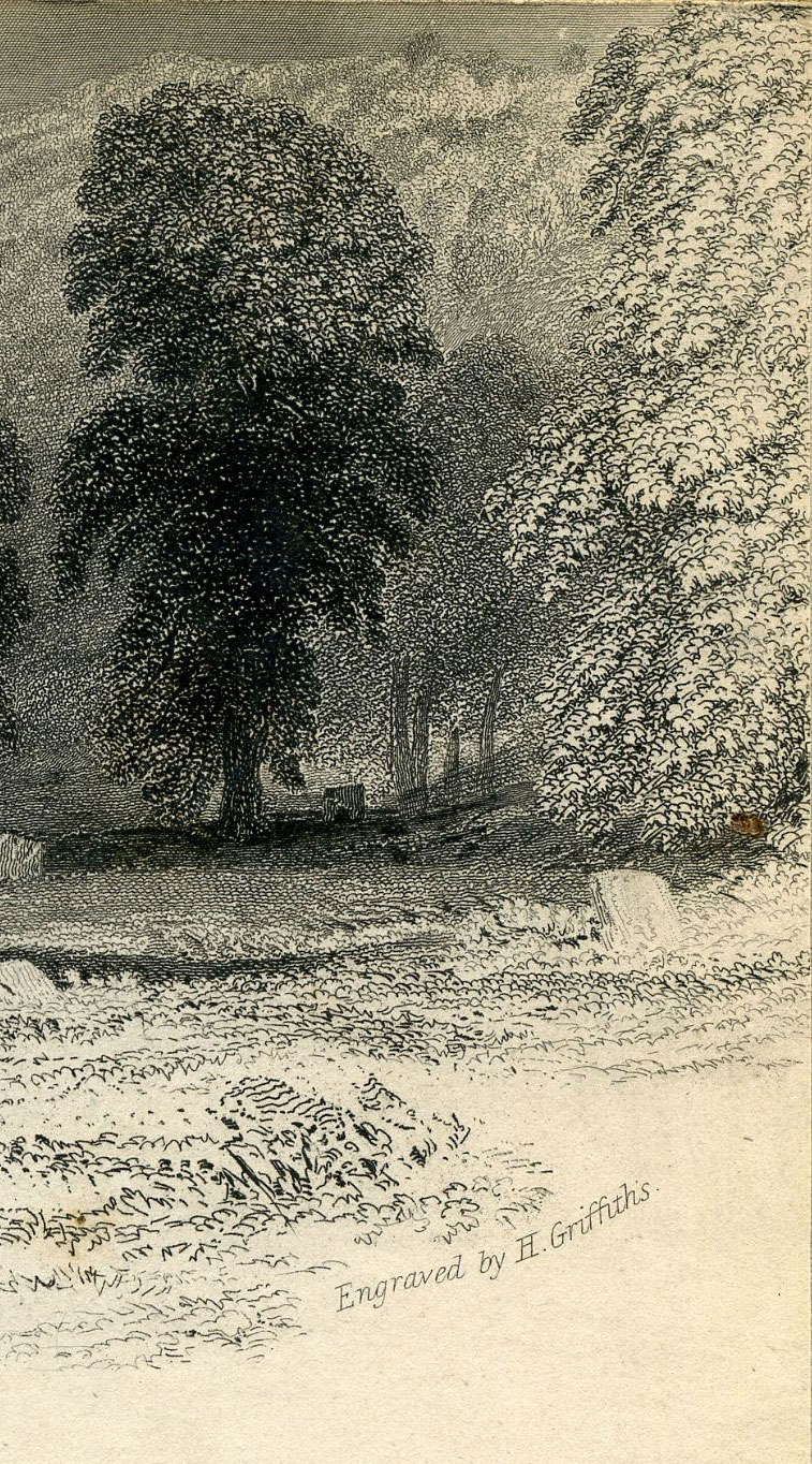 Return To Previous View