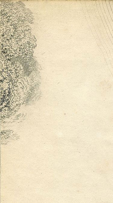Click To Enlarge Top Left Quarter
