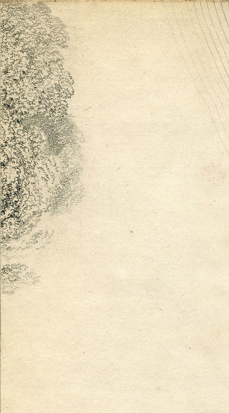 Return To Previous View