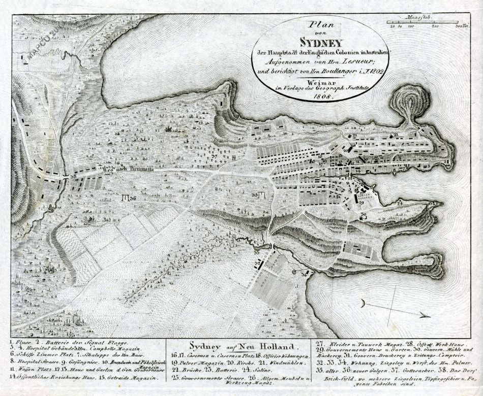 Click For An Enlarged Image